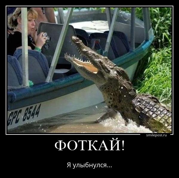pics
