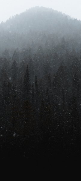 Android Wallpaper (419)