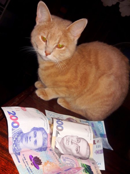 Julka i dengi.....-vps404.strip2.co