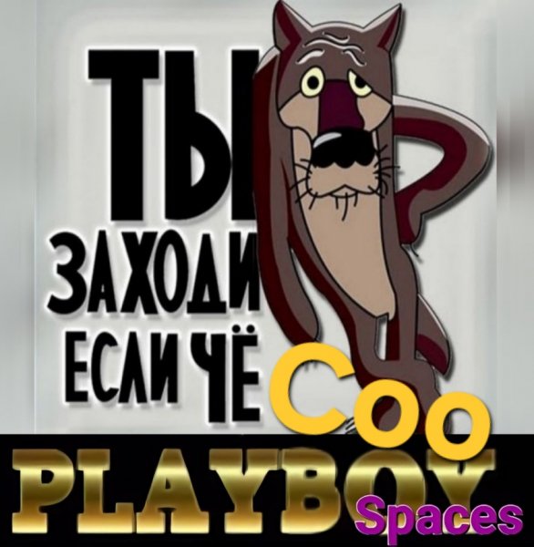 Соо PLAYBOY Spaces