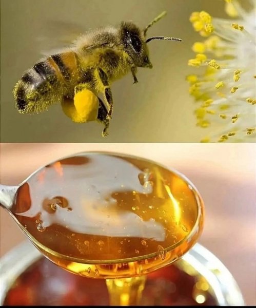 VaNnkINJY2TD9wxg4T1N0b54EzjX1Au4DIi2B8Xq-YXYQSV0usgDsP-EwcJx