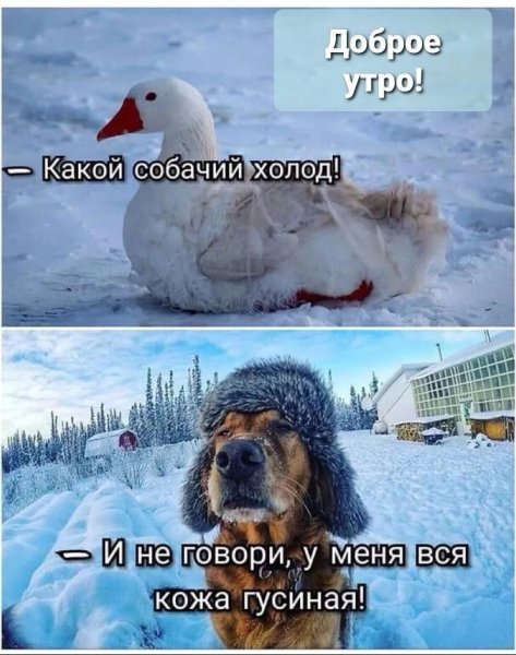 IMG 20260228 220940 167