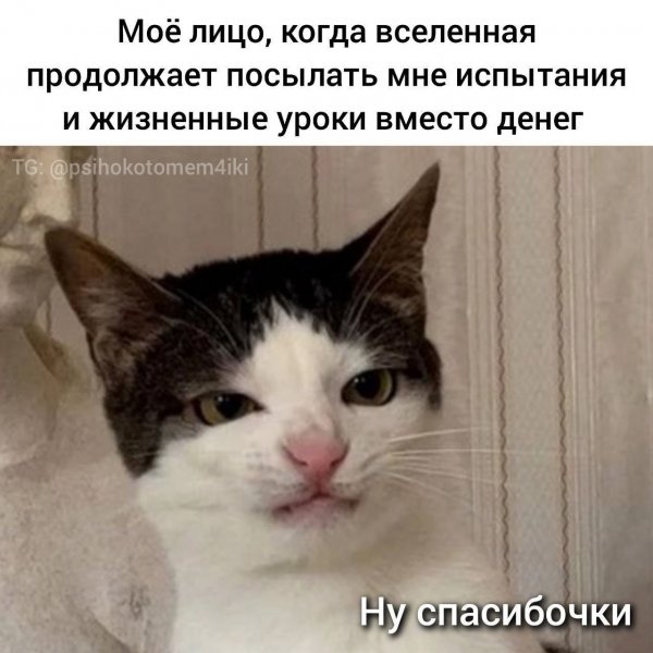 IMG 20260730 124838 650