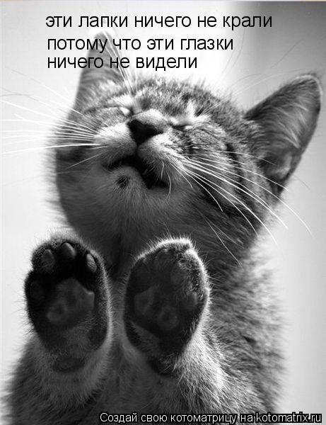 1 апреля 19