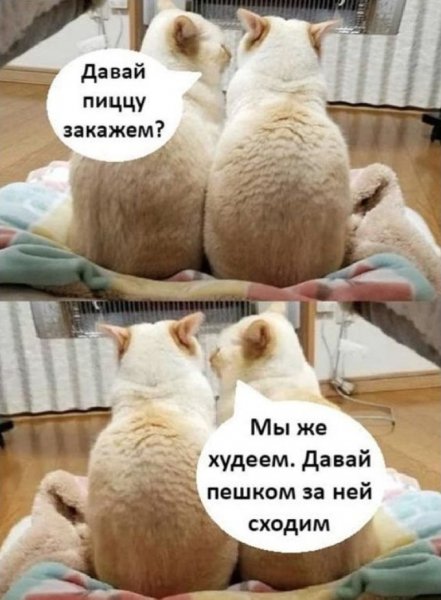 Опаньки!