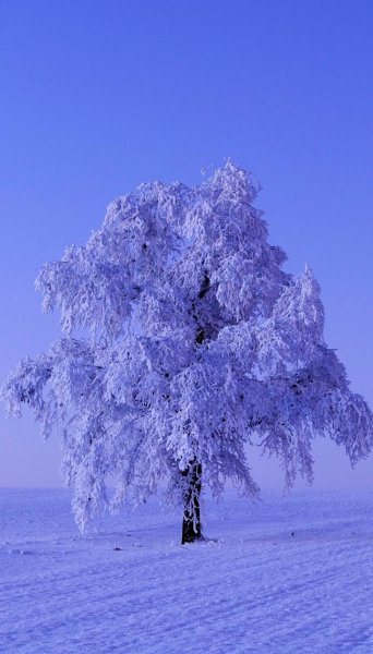 Screenshot 20260203-130611 One UI Home