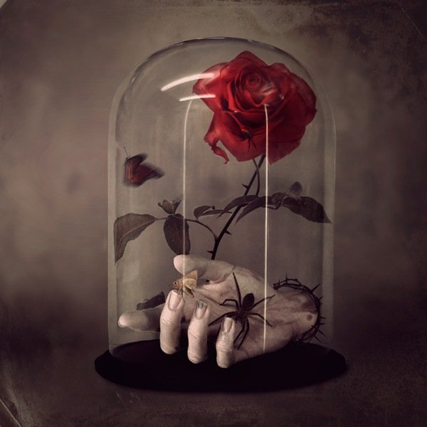 Gothic Still Life (12)