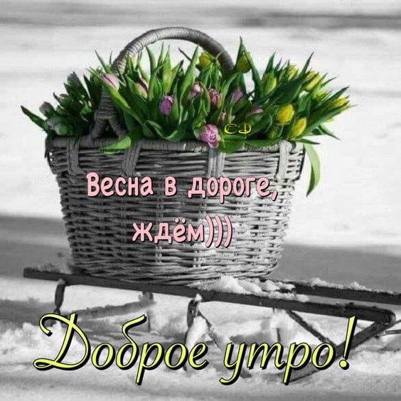 IMG-20220220-WA0001