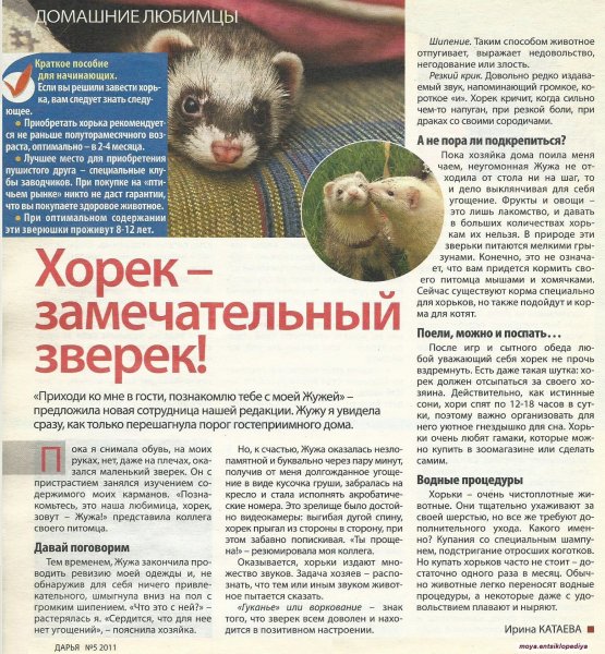 Домашние любимцы