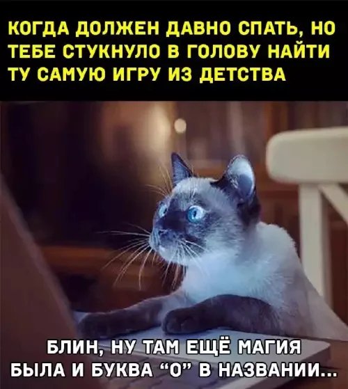 Ryjsjy72