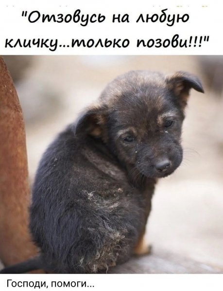 IMG 20260114 033908