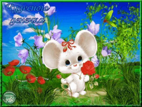 image(56)