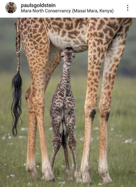 Fee58b25c62e54945b85ef023651780f