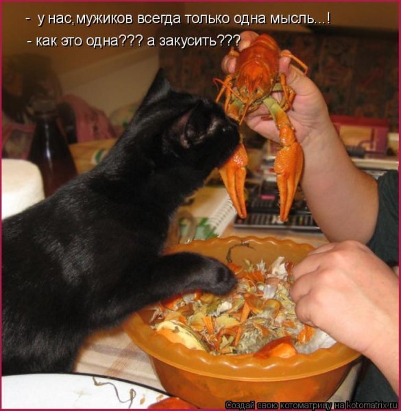 А закусить???