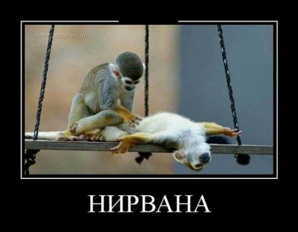 pics