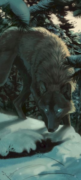 Android Wallpaper (418)