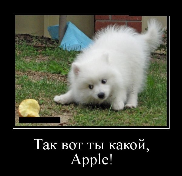 Так вот ты какой