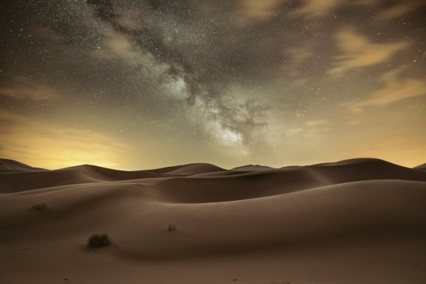 be22513336cd04ce1b78321613324