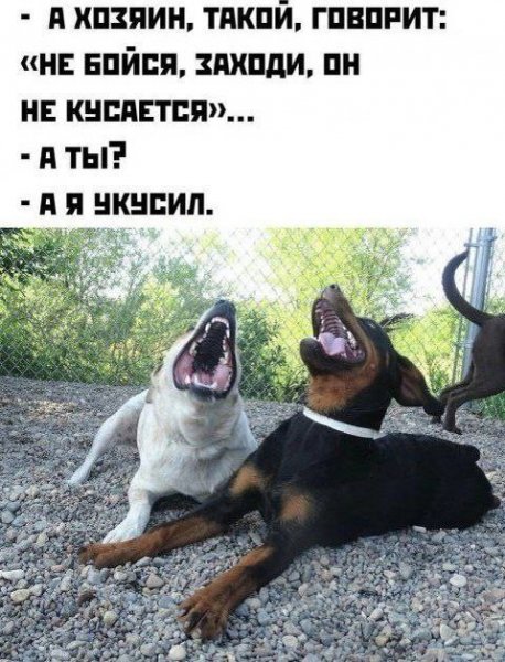 IMG 20260320 165406 321