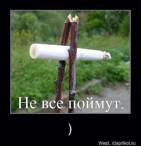 3C11B6AEA855E807CFB5D0FB41435223