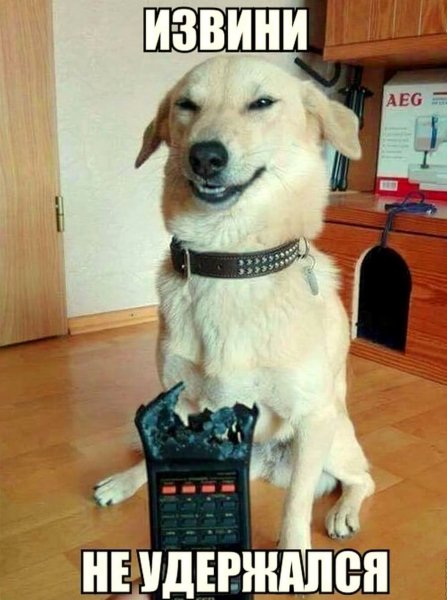 Опаньки!