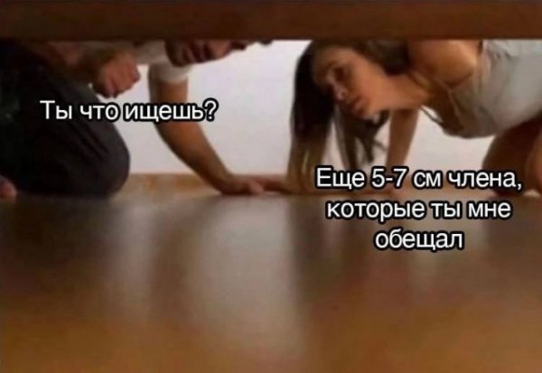 a37f87 20495585
