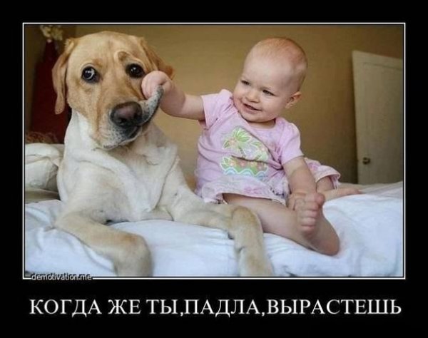 Ну когда