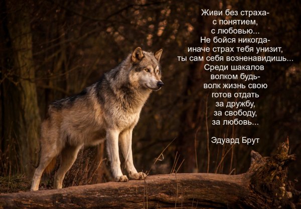 IMG 20170113 135321 57