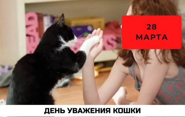 Изображение viber 2024-03-28 01-51-37-479
