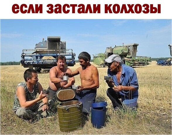 Уборочная, обед в поле, комбайнёр ы