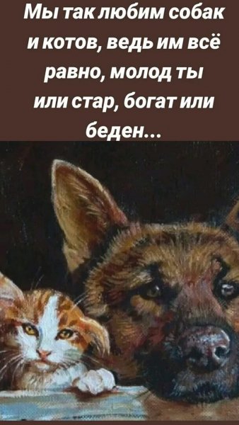 Верные слова!