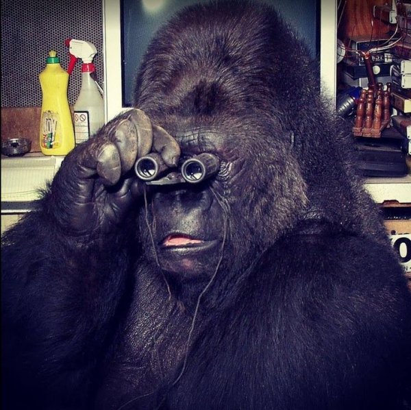 cb789392f6ad983b3a5eb6