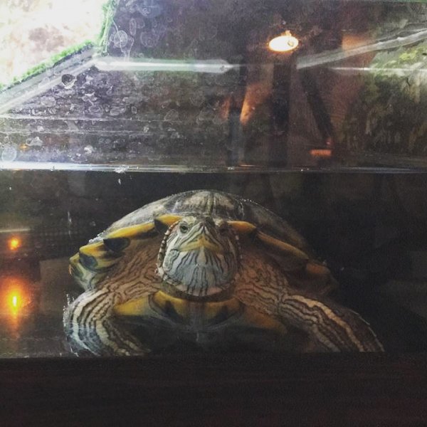 IMG 20190112 104303 039