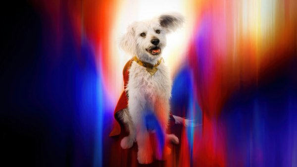 Krypto-superman-2025-4k 624@5@g