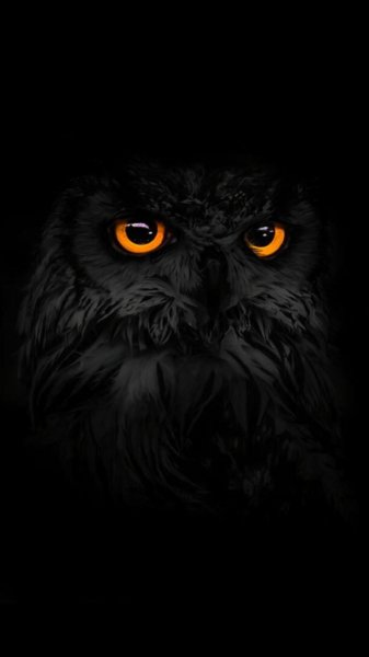 Bfbfbe0ca2be328bb24866c4da9c83f9