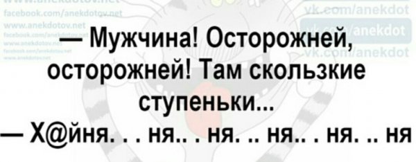 x500