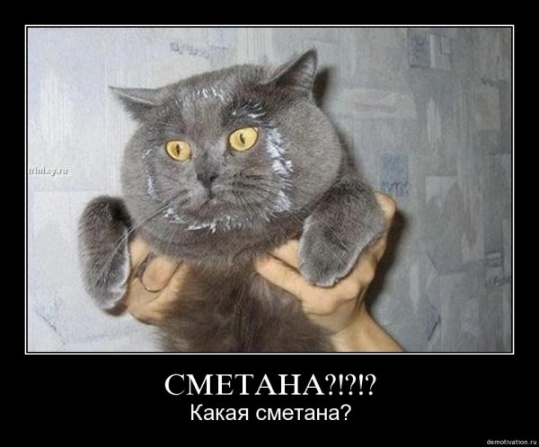 Какая сметана?