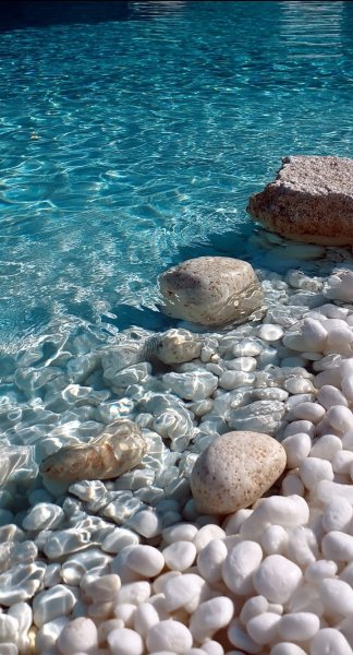 Арт Коллекция