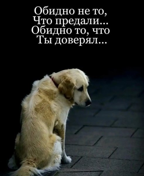Ты доверял...
