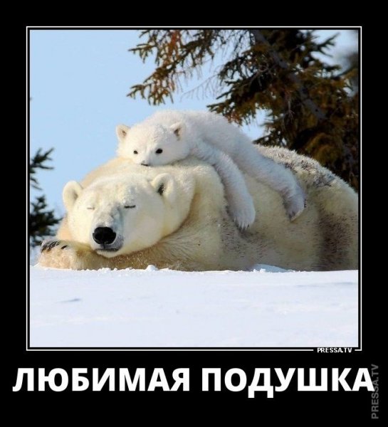 Подушка