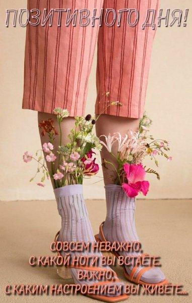 7eaecd50263eb7845a016072b56cea4c