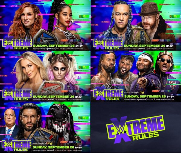 WWE (596)