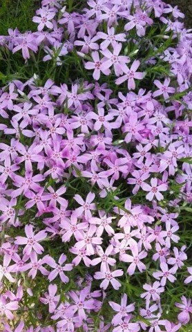 image (3) (12)