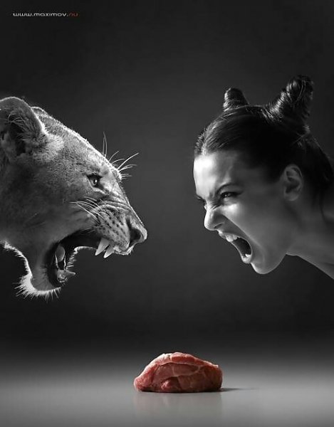 A CATS--1