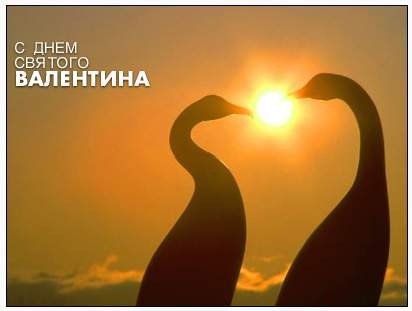 С Днём святого Валентина 2