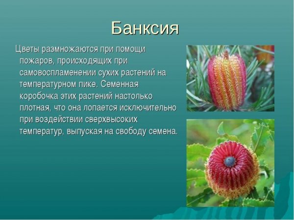 Это интересно