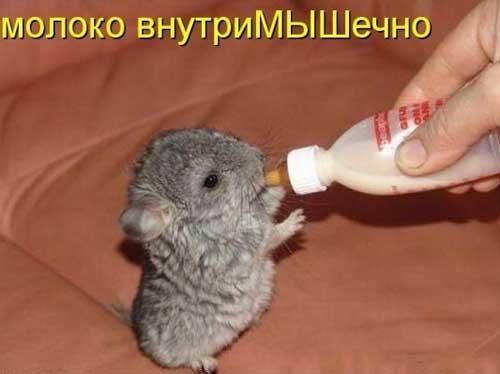 fotografii s nadpisyami 14