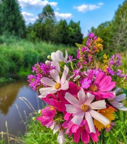 Screenshot 20220810 084423