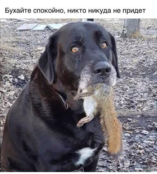 I