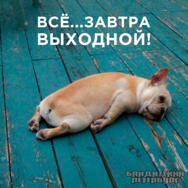 IMG 20220910 121829